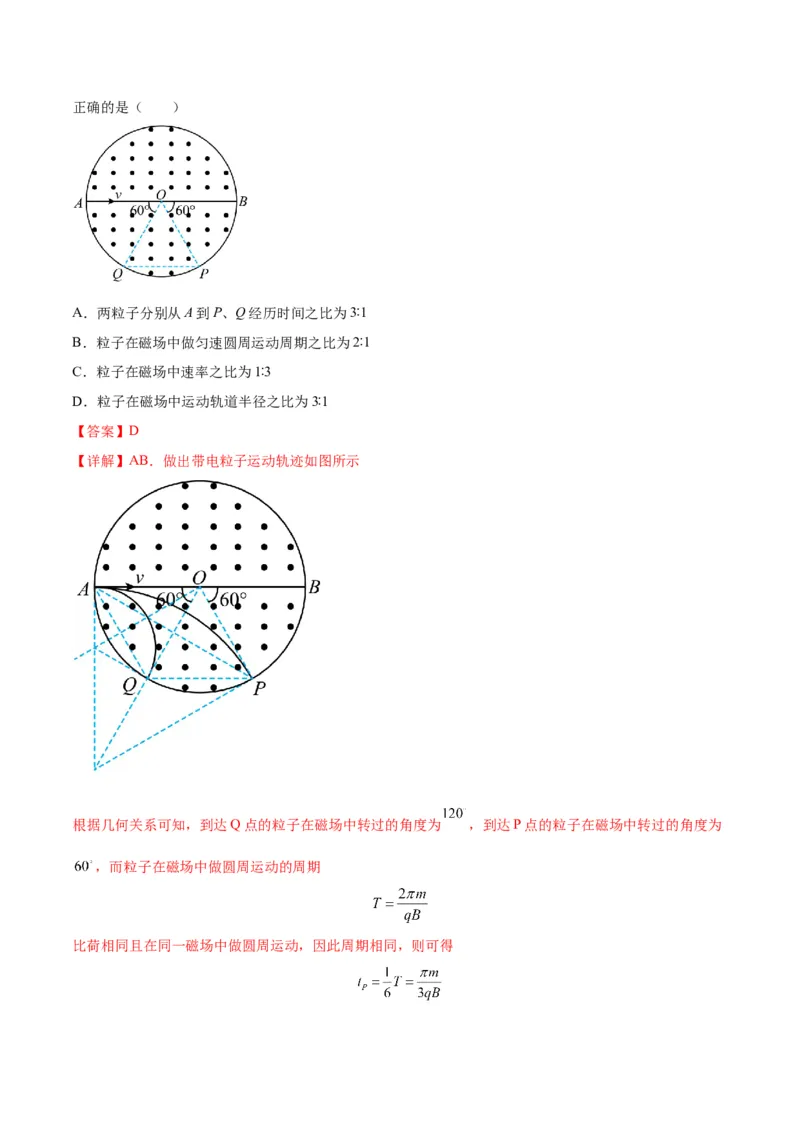 专题12磁场的性质带电粒子在磁场中的运动（解析版）_4.2025物理总复习_2024年新高考资料_2.2024二轮复习_2024年高考物理二轮热点题型归纳与变式演练（新高考通用）