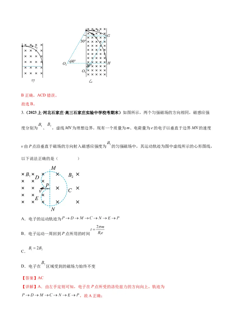 专题12磁场的性质带电粒子在磁场中的运动（解析版）_4.2025物理总复习_2024年新高考资料_2.2024二轮复习_2024年高考物理二轮热点题型归纳与变式演练（新高考通用）