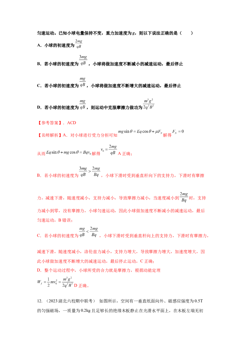 模型56复合场模型（解析版）-2024高考物理二轮复习80模型最新模拟题专项训练_4.2025物理总复习_2024年新高考资料_2.2024二轮复习_2024高考物理二轮复习80模型最新模拟题专项训练