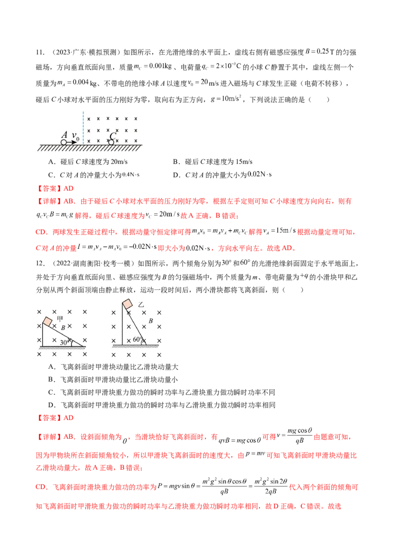 第50讲磁场对运动电荷的作用（练习）（解析版）_4.2025物理总复习_2024年新高考资料_1.2024一轮复习_2024年高考物理一轮复习讲练测（新教材新高考）_第50讲磁场对运动电荷的作用（练习）