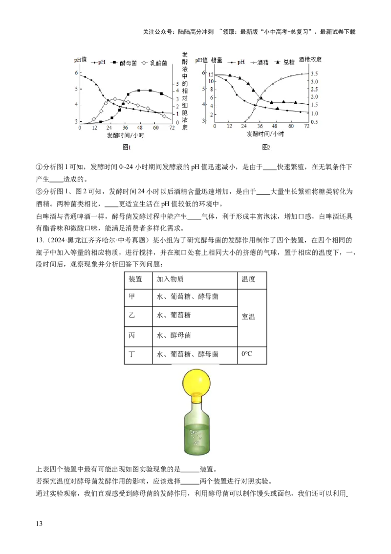 主题二生物的多样性（讲练）（原卷版)_02中考总复习（2026版更新中）_08-生物-中考总复习_2025中考复习资料_2025中考二轮课件ppt+讲义+练习生物_讲义+练习