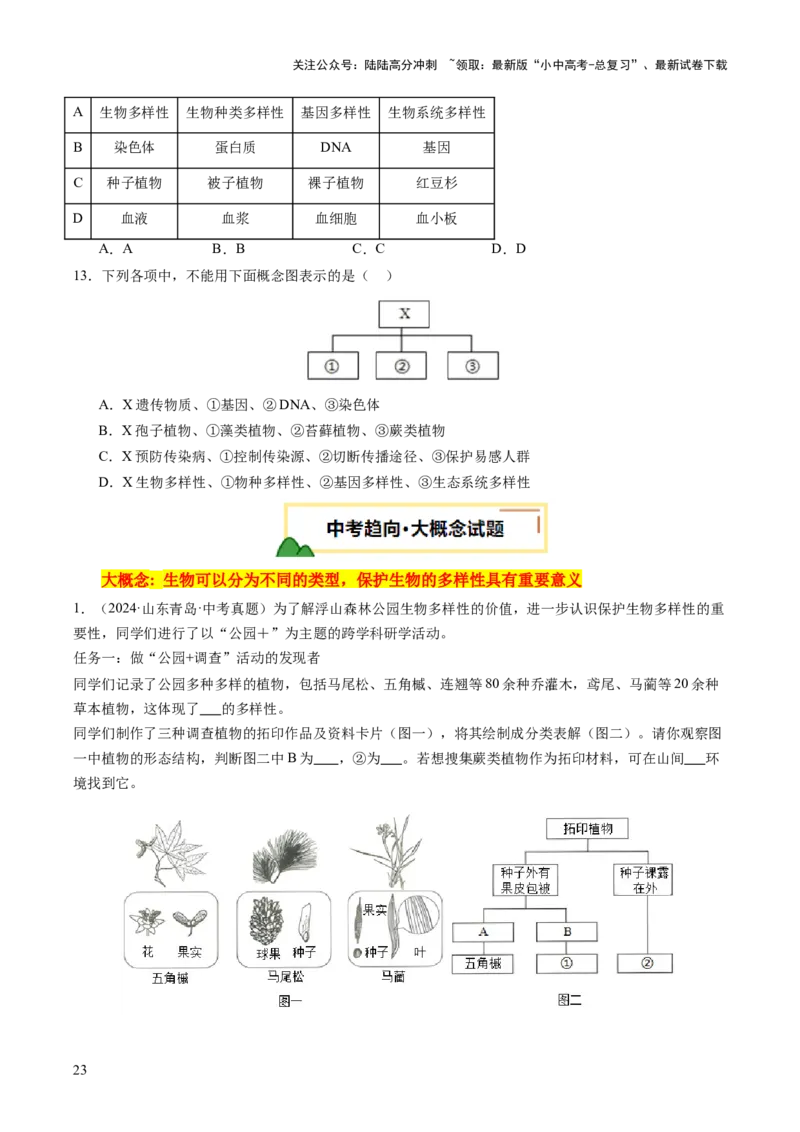 主题二生物的多样性（讲练）（原卷版)_02中考总复习（2026版更新中）_08-生物-中考总复习_2025中考复习资料_2025中考二轮课件ppt+讲义+练习生物_讲义+练习