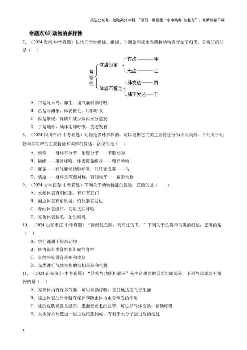主题二生物的多样性（讲练）（原卷版)_02中考总复习（2026版更新中）_08-生物-中考总复习_2025中考复习资料_2025中考二轮课件ppt+讲义+练习生物_讲义+练习