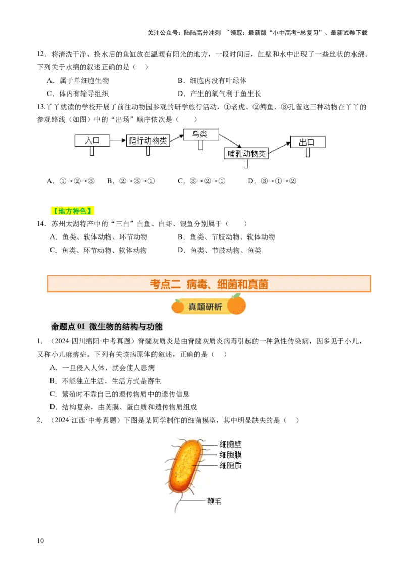 主题二生物的多样性（讲练）（原卷版)_02中考总复习（2026版更新中）_08-生物-中考总复习_2025中考复习资料_2025中考二轮课件ppt+讲义+练习生物_讲义+练习_807