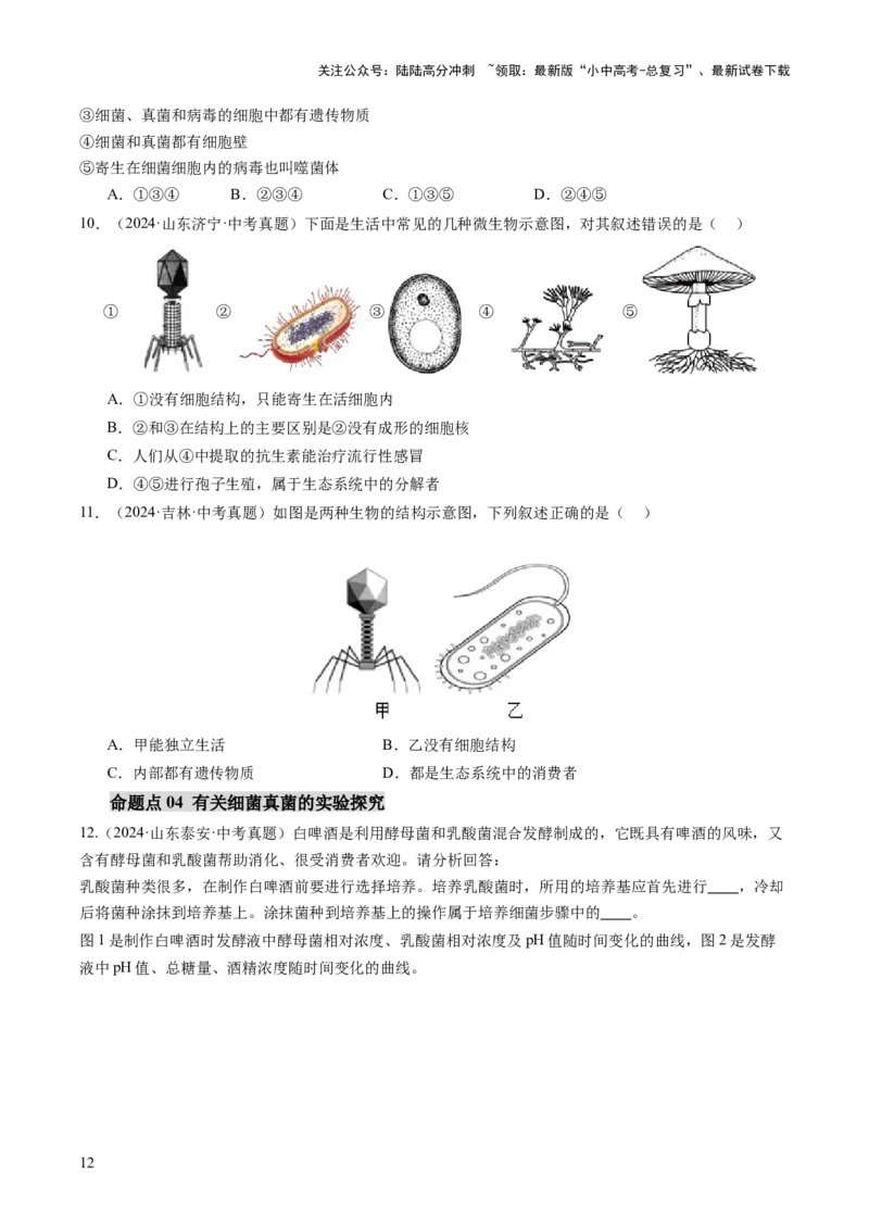 主题二生物的多样性（讲练）（原卷版)_02中考总复习（2026版更新中）_08-生物-中考总复习_2025中考复习资料_2025中考二轮课件ppt+讲义+练习生物_讲义+练习_807