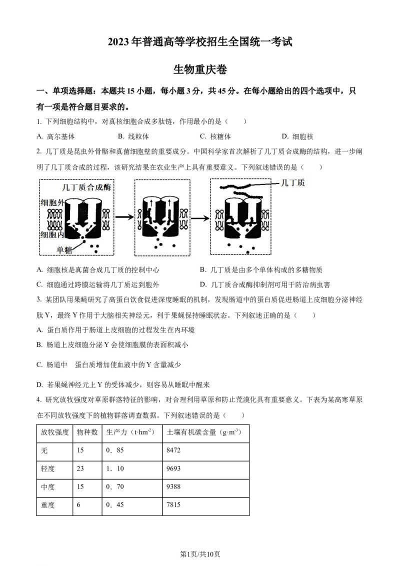 2023年高考生物试卷（重庆）（空白卷）_A1502026各地模拟卷（超值！）_赠送：2008-2024全套高考真题_高考生物真题_新&middot;Word版2008-2024&middot;高考生物真题_版本2：生物（按省份分类）2008-2024