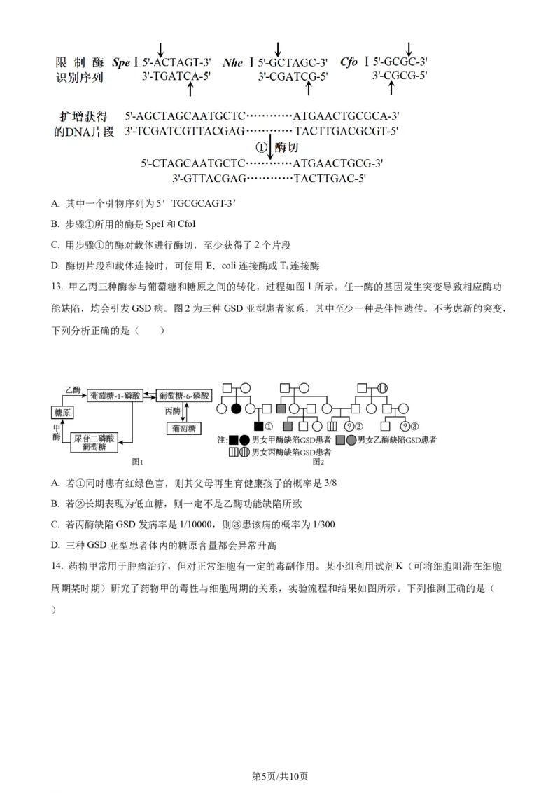 2023年高考生物试卷（重庆）（空白卷）_A1502026各地模拟卷（超值！）_赠送：2008-2024全套高考真题_高考生物真题_新&middot;Word版2008-2024&middot;高考生物真题_版本2：生物（按省份分类）2008-2024