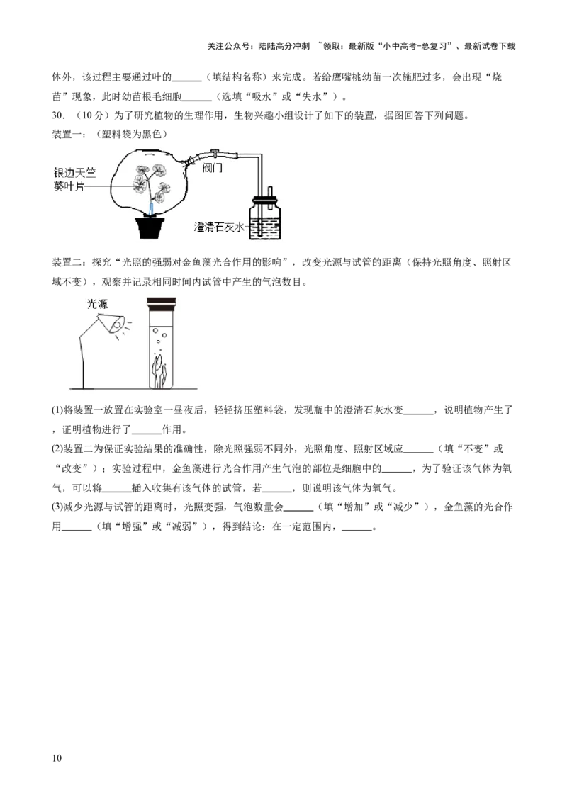 主题四植物的生活（测试）（原卷版）_02中考总复习（2026版更新中）_08-生物-中考总复习_2025中考复习资料_2025中考二轮课件ppt+讲义+练习生物_测试