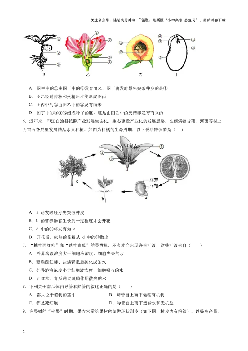 主题四植物的生活（测试）（原卷版）_02中考总复习（2026版更新中）_08-生物-中考总复习_2025中考复习资料_2025中考二轮课件ppt+讲义+练习生物_测试