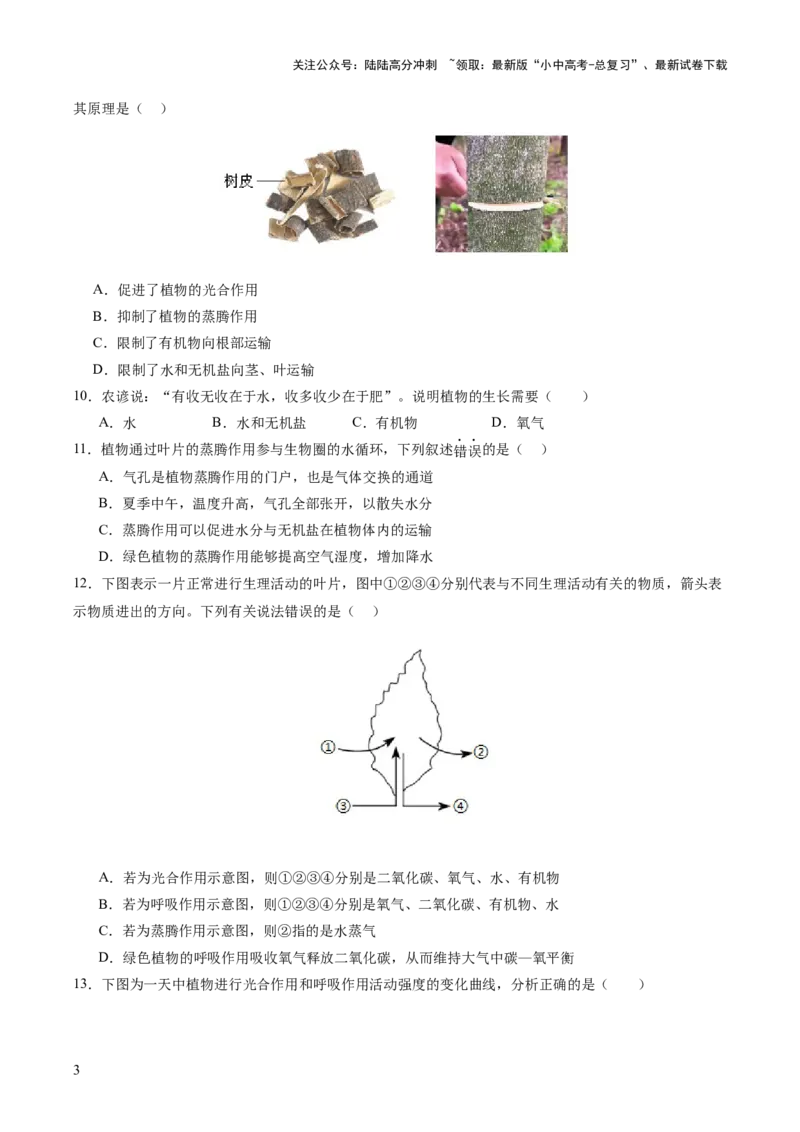 主题四植物的生活（测试）（原卷版）_02中考总复习（2026版更新中）_08-生物-中考总复习_2025中考复习资料_2025中考二轮课件ppt+讲义+练习生物_测试