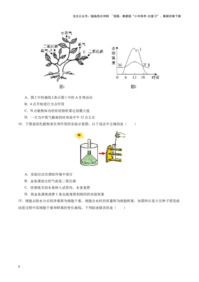 主题四植物的生活（测试）（原卷版）_02中考总复习（2026版更新中）_08-生物-中考总复习_2025中考复习资料_2025中考二轮课件ppt+讲义+练习生物_测试