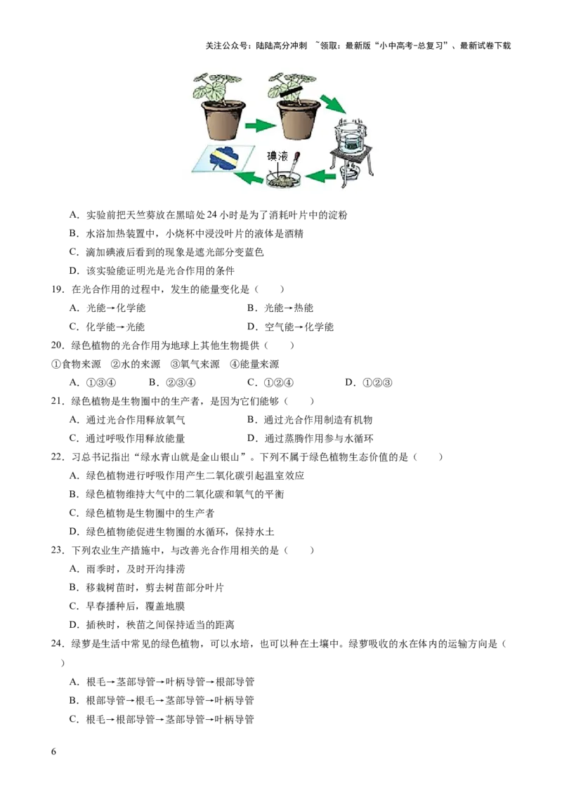 主题四植物的生活（测试）（原卷版）_02中考总复习（2026版更新中）_08-生物-中考总复习_2025中考复习资料_2025中考二轮课件ppt+讲义+练习生物_测试