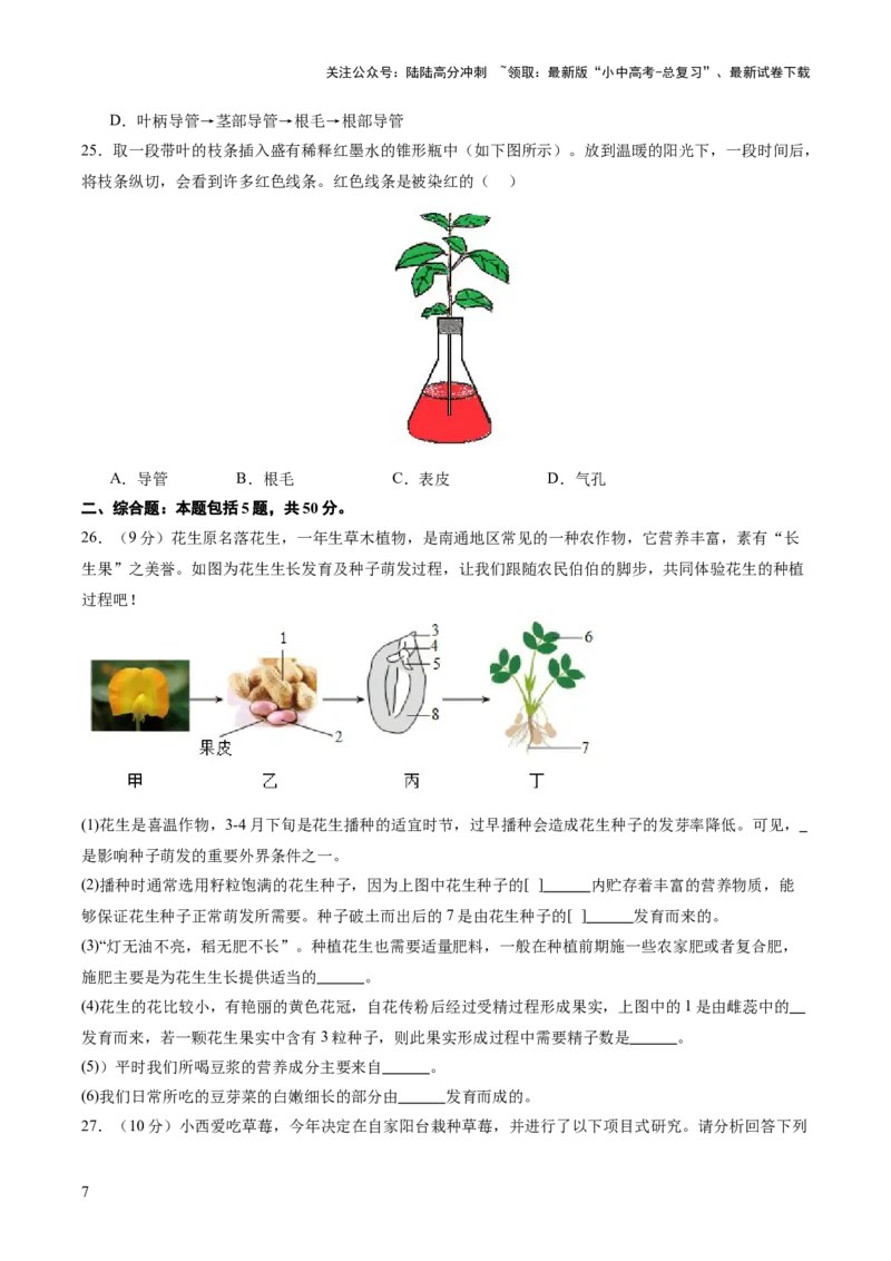 主题四植物的生活（测试）（原卷版）_02中考总复习（2026版更新中）_08-生物-中考总复习_2025中考复习资料_2025中考二轮课件ppt+讲义+练习生物_测试
