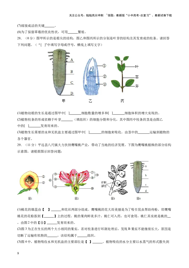 主题四植物的生活（测试）（原卷版）_02中考总复习（2026版更新中）_08-生物-中考总复习_2025中考复习资料_2025中考二轮课件ppt+讲义+练习生物_测试