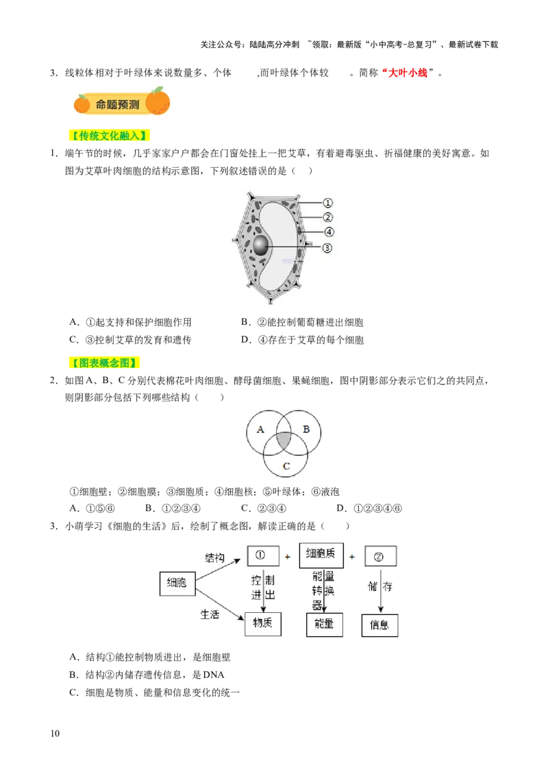 主题一生物体的结构层次（讲练）（原卷版）_02中考总复习（2026版更新中）_08-生物-中考总复习_2025中考复习资料_2025中考二轮课件ppt+讲义+练习生物_讲义+练习