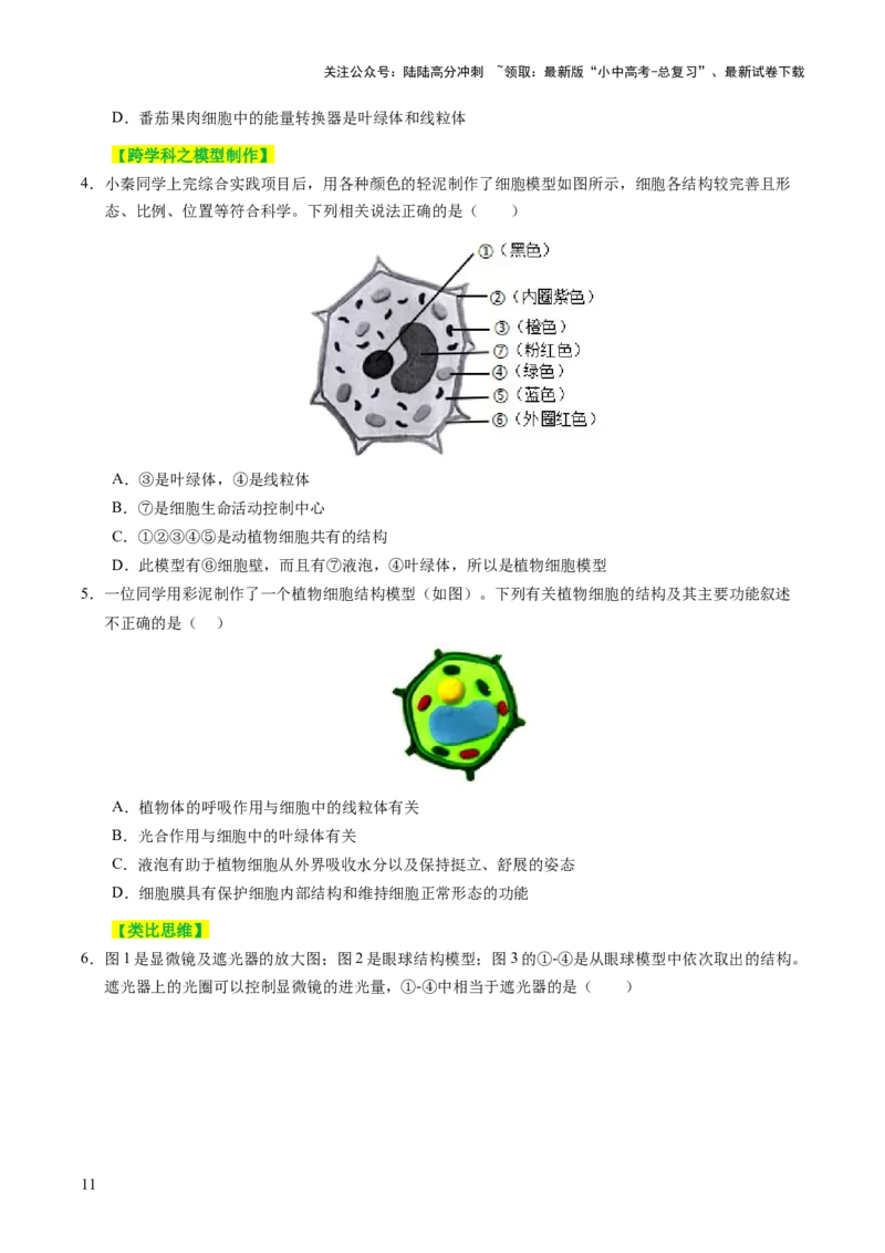 主题一生物体的结构层次（讲练）（原卷版）_02中考总复习（2026版更新中）_08-生物-中考总复习_2025中考复习资料_2025中考二轮课件ppt+讲义+练习生物_讲义+练习