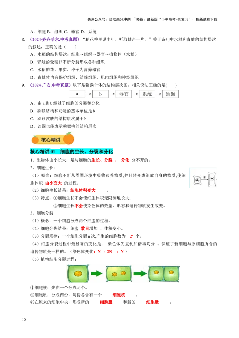 主题一生物体的结构层次（讲练）（原卷版）_02中考总复习（2026版更新中）_08-生物-中考总复习_2025中考复习资料_2025中考二轮课件ppt+讲义+练习生物_讲义+练习