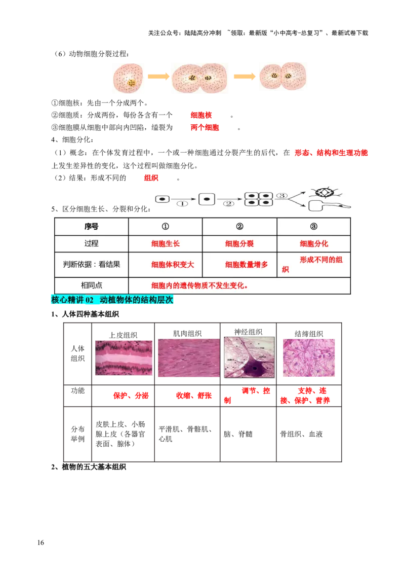 主题一生物体的结构层次（讲练）（原卷版）_02中考总复习（2026版更新中）_08-生物-中考总复习_2025中考复习资料_2025中考二轮课件ppt+讲义+练习生物_讲义+练习