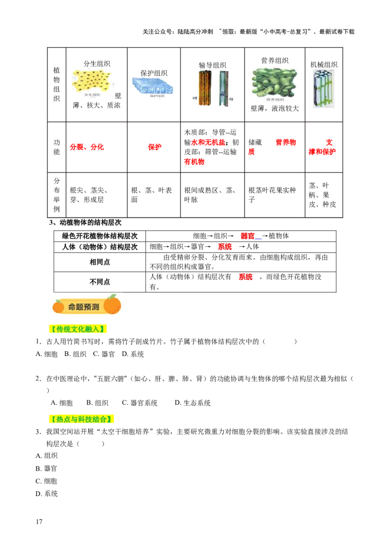 主题一生物体的结构层次（讲练）（原卷版）_02中考总复习（2026版更新中）_08-生物-中考总复习_2025中考复习资料_2025中考二轮课件ppt+讲义+练习生物_讲义+练习
