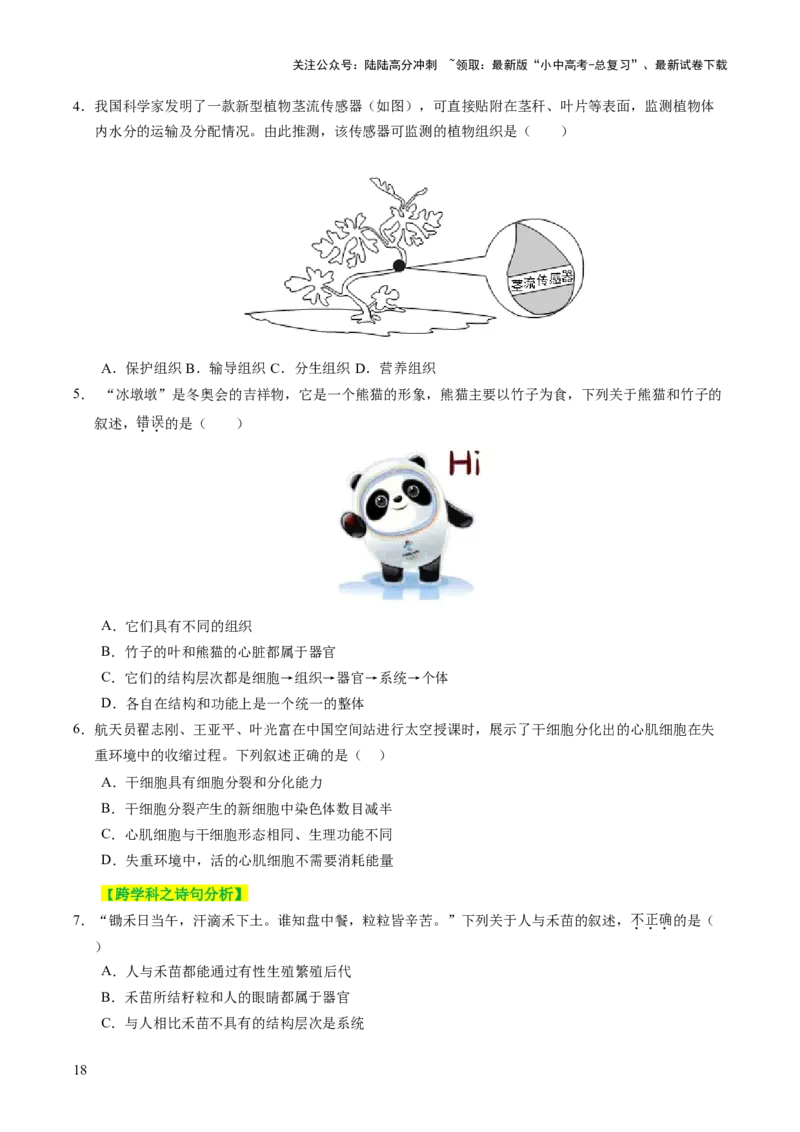 主题一生物体的结构层次（讲练）（原卷版）_02中考总复习（2026版更新中）_08-生物-中考总复习_2025中考复习资料_2025中考二轮课件ppt+讲义+练习生物_讲义+练习