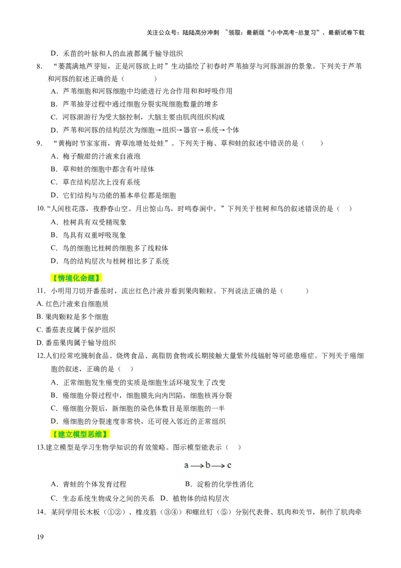 主题一生物体的结构层次（讲练）（原卷版）_02中考总复习（2026版更新中）_08-生物-中考总复习_2025中考复习资料_2025中考二轮课件ppt+讲义+练习生物_讲义+练习