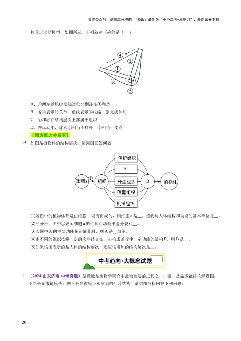 主题一生物体的结构层次（讲练）（原卷版）_02中考总复习（2026版更新中）_08-生物-中考总复习_2025中考复习资料_2025中考二轮课件ppt+讲义+练习生物_讲义+练习