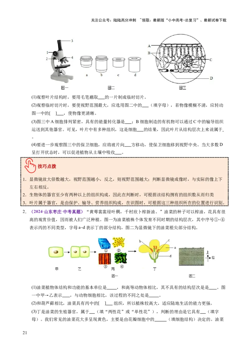 主题一生物体的结构层次（讲练）（原卷版）_02中考总复习（2026版更新中）_08-生物-中考总复习_2025中考复习资料_2025中考二轮课件ppt+讲义+练习生物_讲义+练习