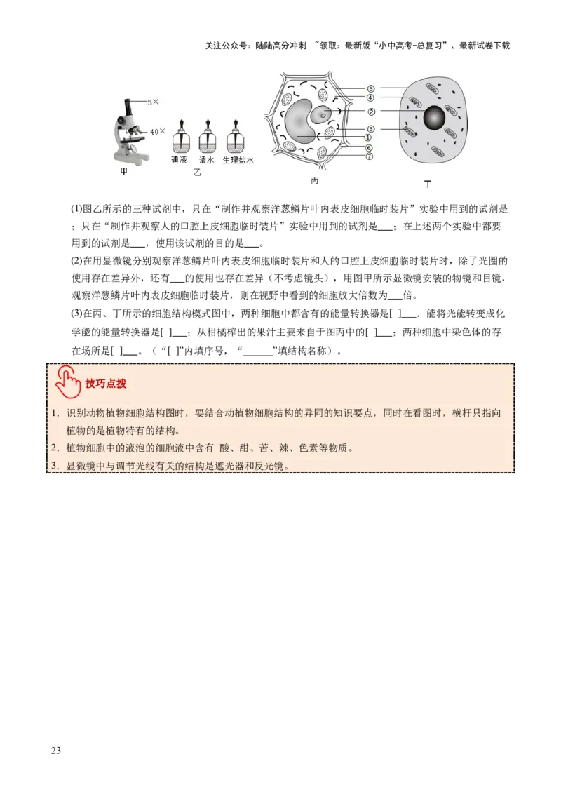 主题一生物体的结构层次（讲练）（原卷版）_02中考总复习（2026版更新中）_08-生物-中考总复习_2025中考复习资料_2025中考二轮课件ppt+讲义+练习生物_讲义+练习