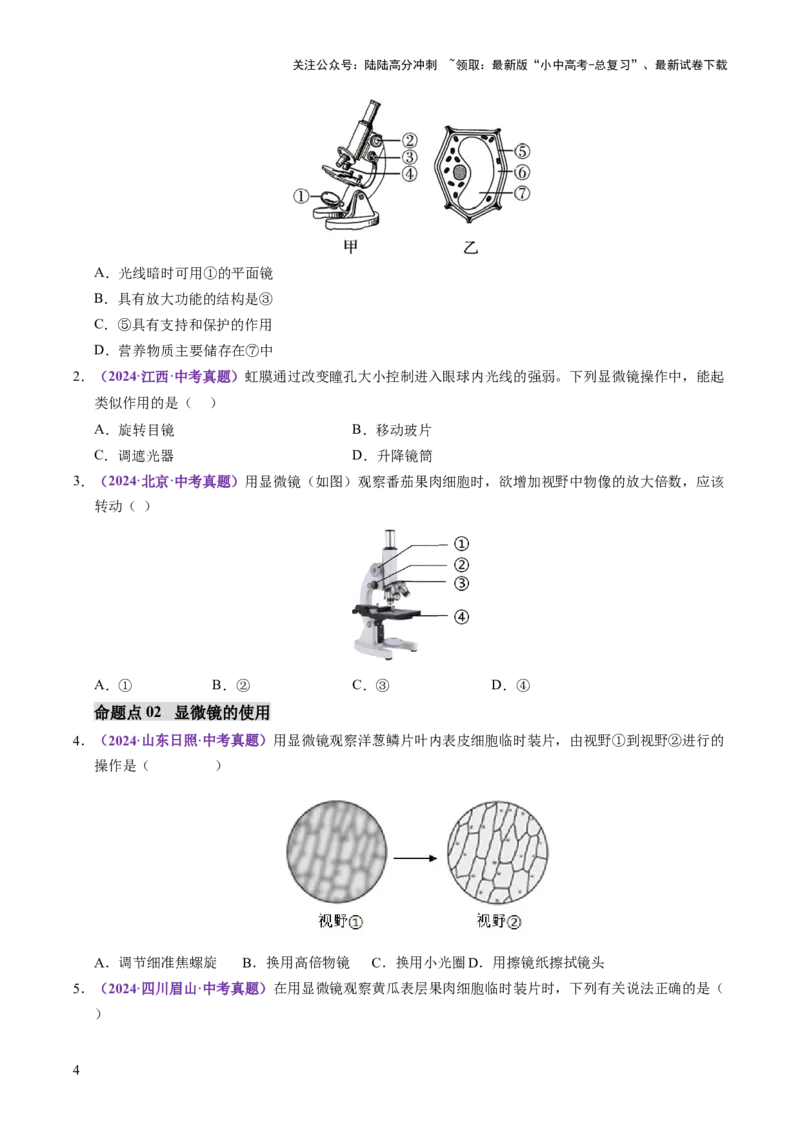 主题一生物体的结构层次（讲练）（原卷版）_02中考总复习（2026版更新中）_08-生物-中考总复习_2025中考复习资料_2025中考二轮课件ppt+讲义+练习生物_讲义+练习