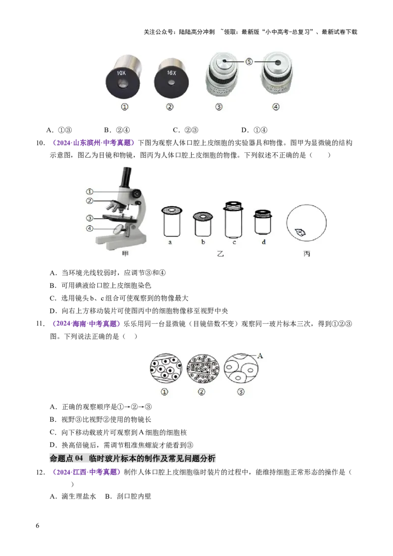 主题一生物体的结构层次（讲练）（原卷版）_02中考总复习（2026版更新中）_08-生物-中考总复习_2025中考复习资料_2025中考二轮课件ppt+讲义+练习生物_讲义+练习