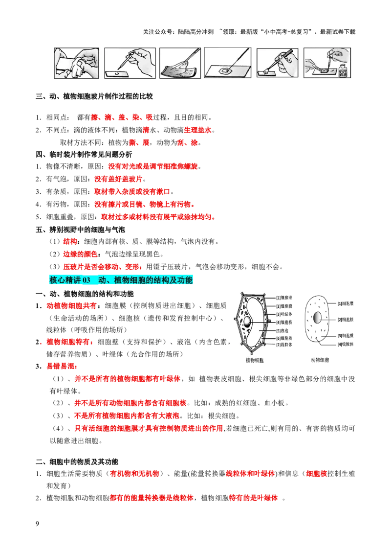 主题一生物体的结构层次（讲练）（原卷版）_02中考总复习（2026版更新中）_08-生物-中考总复习_2025中考复习资料_2025中考二轮课件ppt+讲义+练习生物_讲义+练习