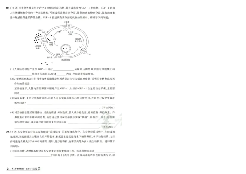 2026版金考卷&middot;百校联盟高考领航卷生物（全国单选版）-A4_2026版金考卷&middot;百校联盟高考领航卷（全科）_2026版金考卷&middot;百校联盟高考领航卷生物（单选+不定项）