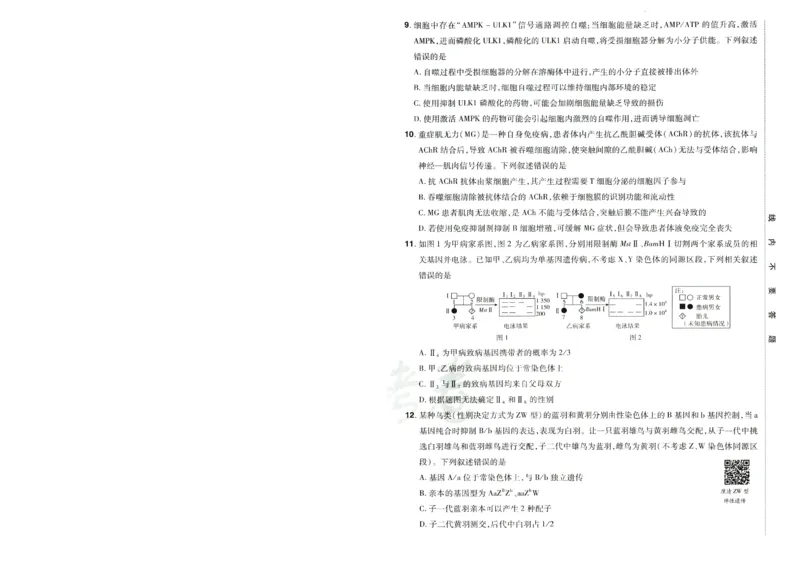 2026版金考卷&middot;百校联盟高考领航卷生物（全国单选版）-A4_2026版金考卷&middot;百校联盟高考领航卷（全科）_2026版金考卷&middot;百校联盟高考领航卷生物（单选+不定项）
