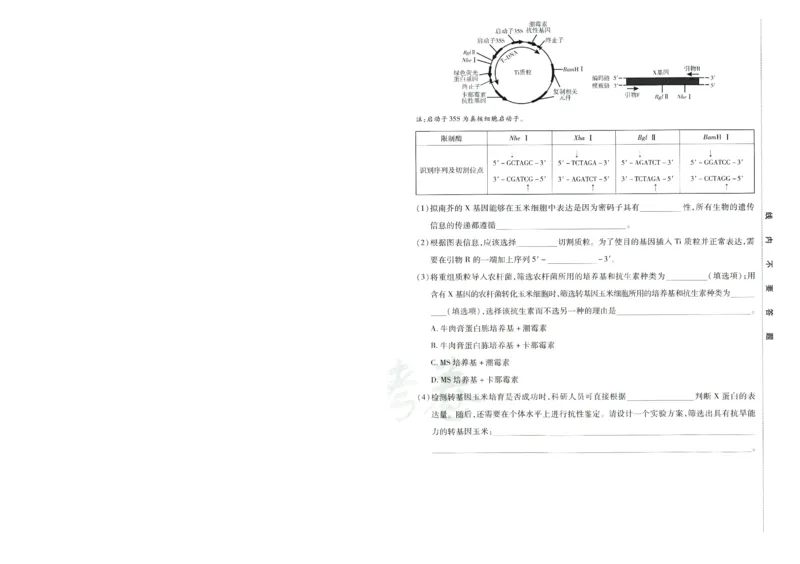 2026版金考卷&middot;百校联盟高考领航卷生物（全国单选版）-A4_2026版金考卷&middot;百校联盟高考领航卷（全科）_2026版金考卷&middot;百校联盟高考领航卷生物（单选+不定项）