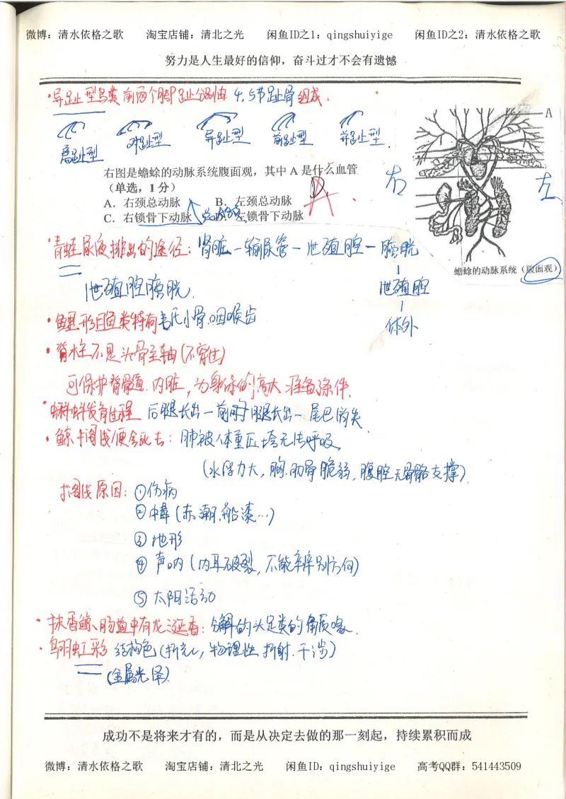 7.衡水中学高考积累与改错_高三生物奥赛（第3本）_93页_高中衡水学霸笔记_高中全部赠品_错题集高中九科_生物积累与改错