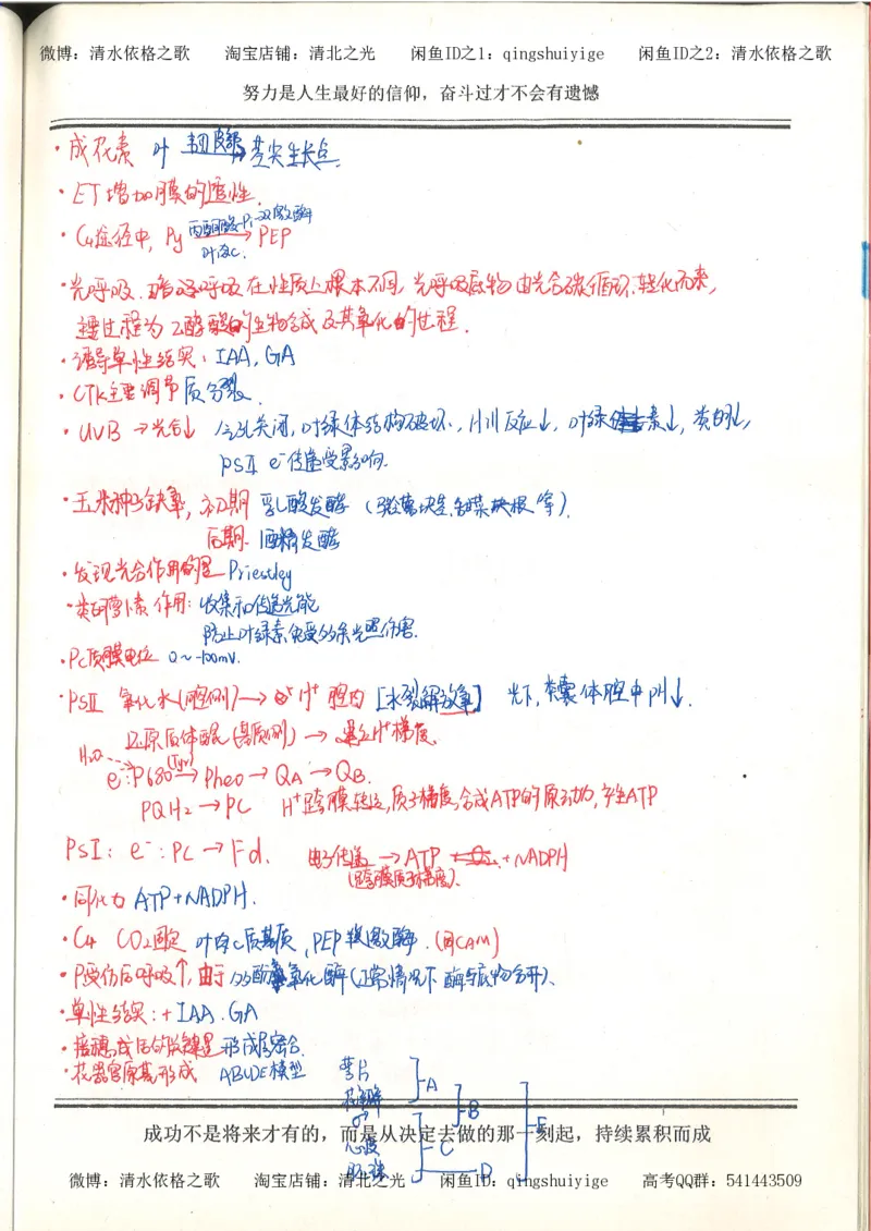 7.衡水中学高考积累与改错_高三生物奥赛（第3本）_93页_高中衡水学霸笔记_高中全部赠品_错题集高中九科_生物积累与改错