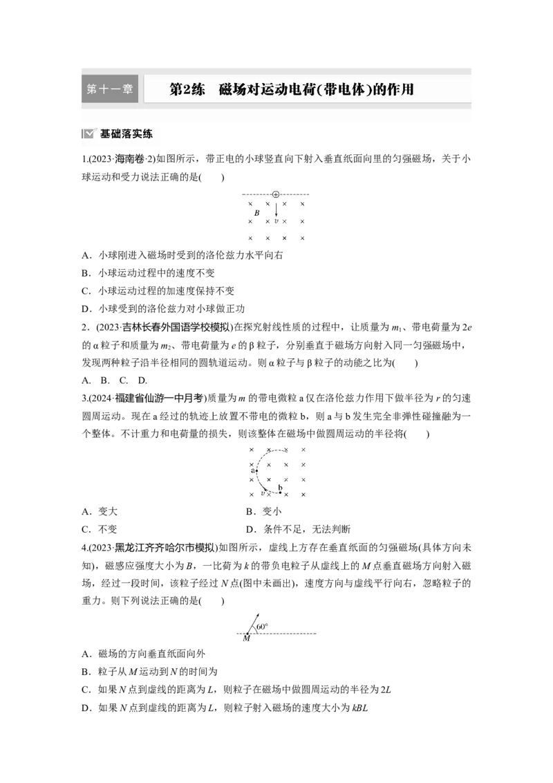 第十一章　第2练　磁场对运动电荷(带电体)的作用_4.2025物理总复习_2025年新高考资料_一轮复习_2025物理大一轮复习讲义+课件ppt（完结）_2025物理大一轮复习讲义学生用书Word版文档整书