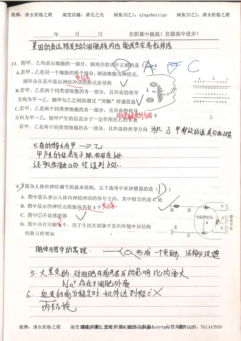 4.衡水中学高考积累与改错_高二生物（第2本）_78页_高中衡水学霸笔记_高中全部赠品_错题集高中九科_生物积累与改错