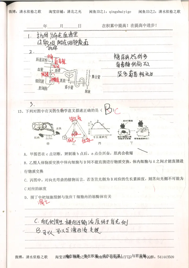4.衡水中学高考积累与改错_高二生物（第2本）_78页_高中衡水学霸笔记_高中全部赠品_错题集高中九科_生物积累与改错