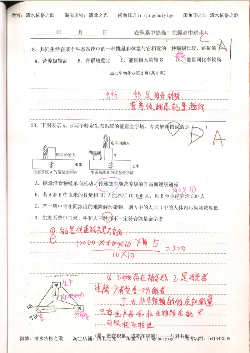 4.衡水中学高考积累与改错_高二生物（第2本）_78页_高中衡水学霸笔记_高中全部赠品_错题集高中九科_生物积累与改错
