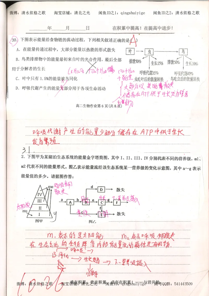 4.衡水中学高考积累与改错_高二生物（第2本）_78页_高中衡水学霸笔记_高中全部赠品_错题集高中九科_生物积累与改错