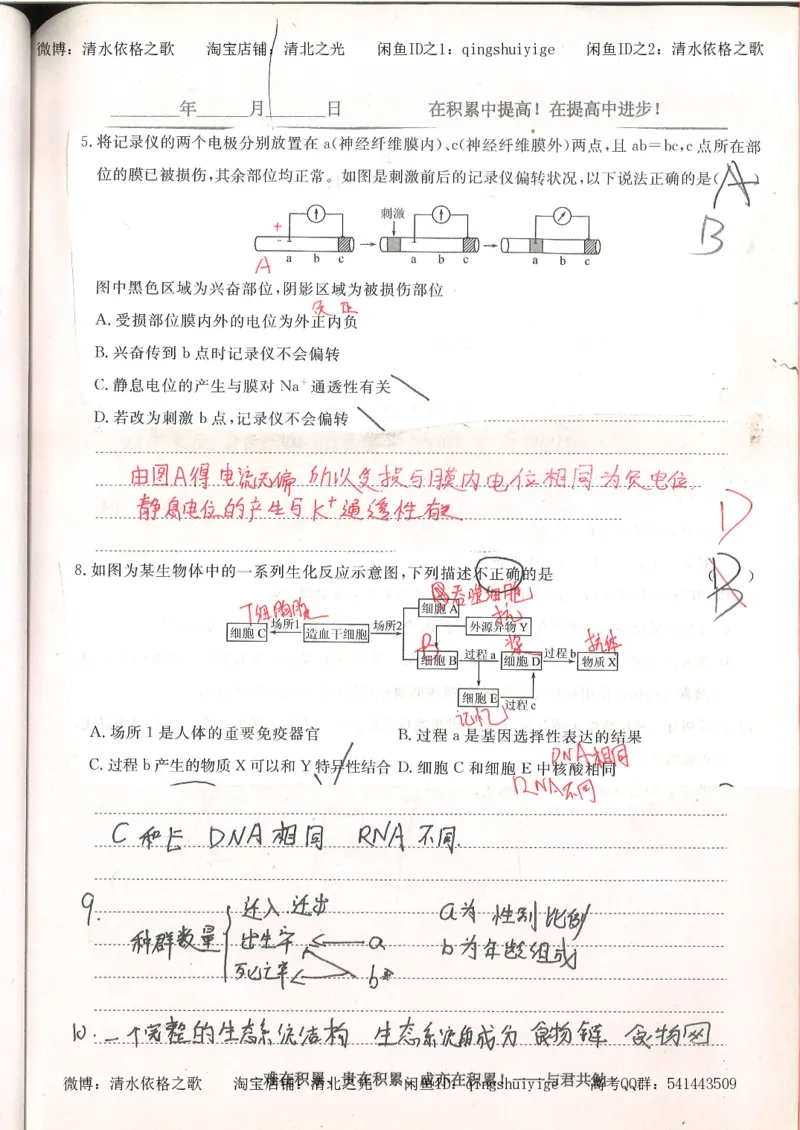 4.衡水中学高考积累与改错_高二生物（第2本）_78页_高中衡水学霸笔记_高中全部赠品_错题集高中九科_生物积累与改错