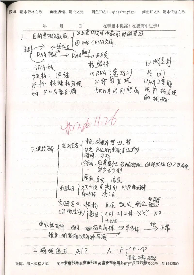 4.衡水中学高考积累与改错_高二生物（第2本）_78页_高中衡水学霸笔记_高中全部赠品_错题集高中九科_生物积累与改错