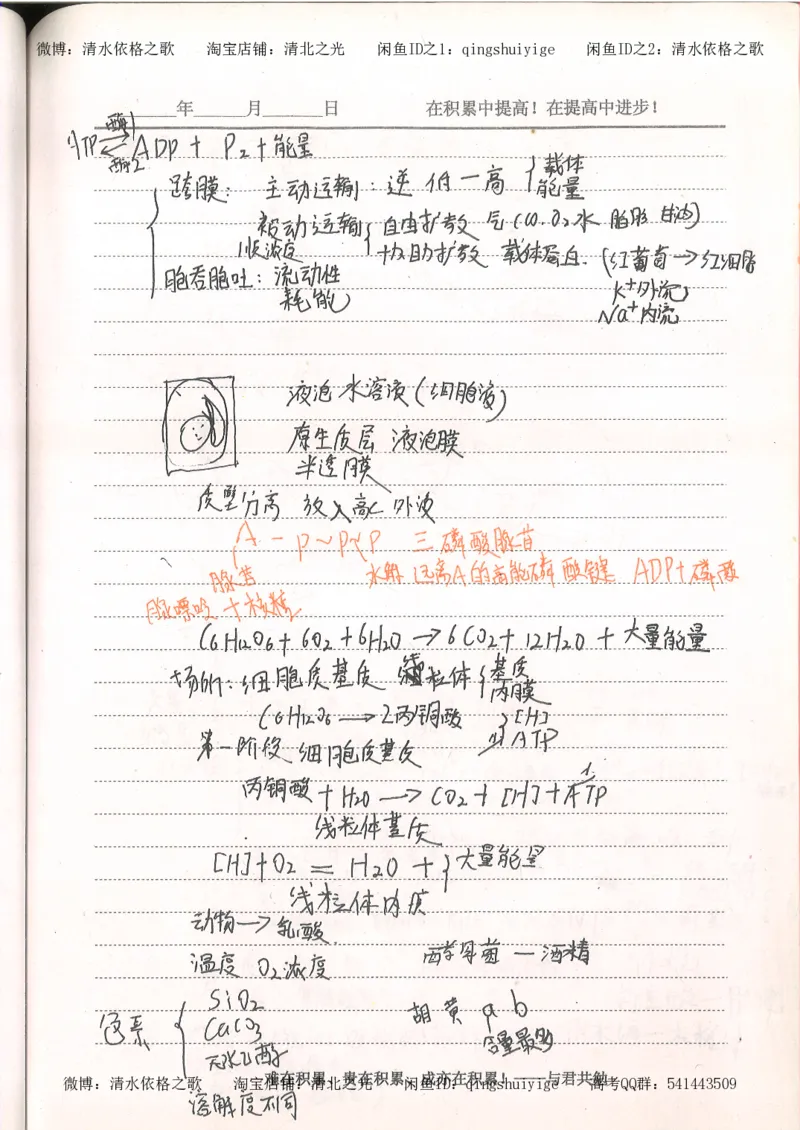 4.衡水中学高考积累与改错_高二生物（第2本）_78页_高中衡水学霸笔记_高中全部赠品_错题集高中九科_生物积累与改错