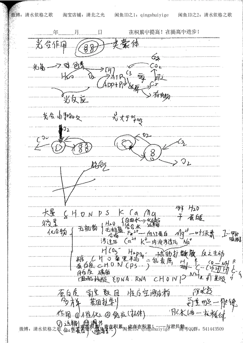 4.衡水中学高考积累与改错_高二生物（第2本）_78页_高中衡水学霸笔记_高中全部赠品_错题集高中九科_生物积累与改错
