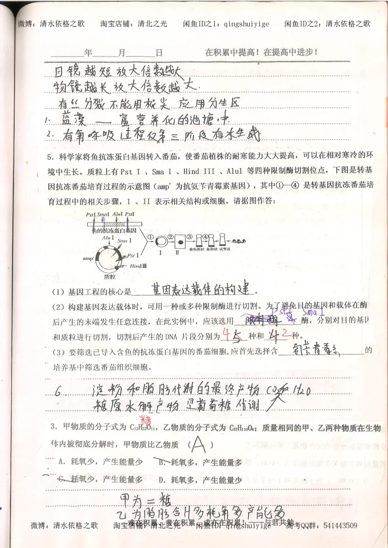 4.衡水中学高考积累与改错_高二生物（第2本）_78页_高中衡水学霸笔记_高中全部赠品_错题集高中九科_生物积累与改错