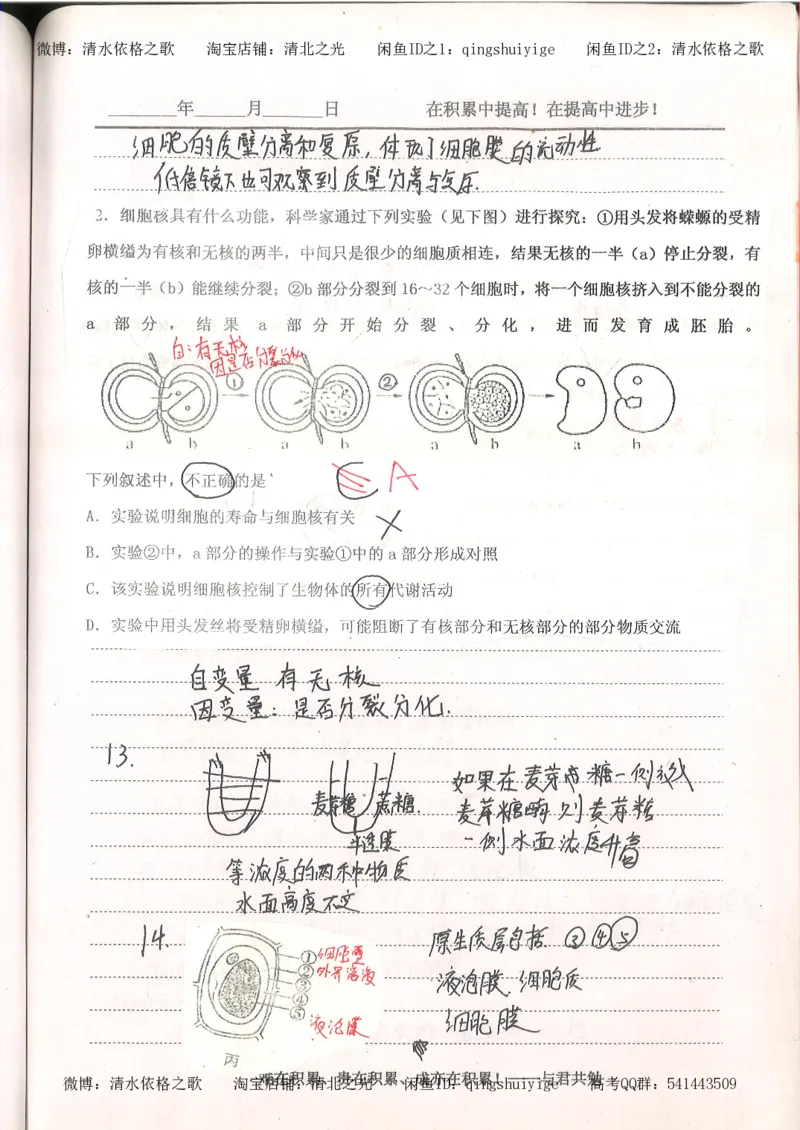 4.衡水中学高考积累与改错_高二生物（第2本）_78页_高中衡水学霸笔记_高中全部赠品_错题集高中九科_生物积累与改错