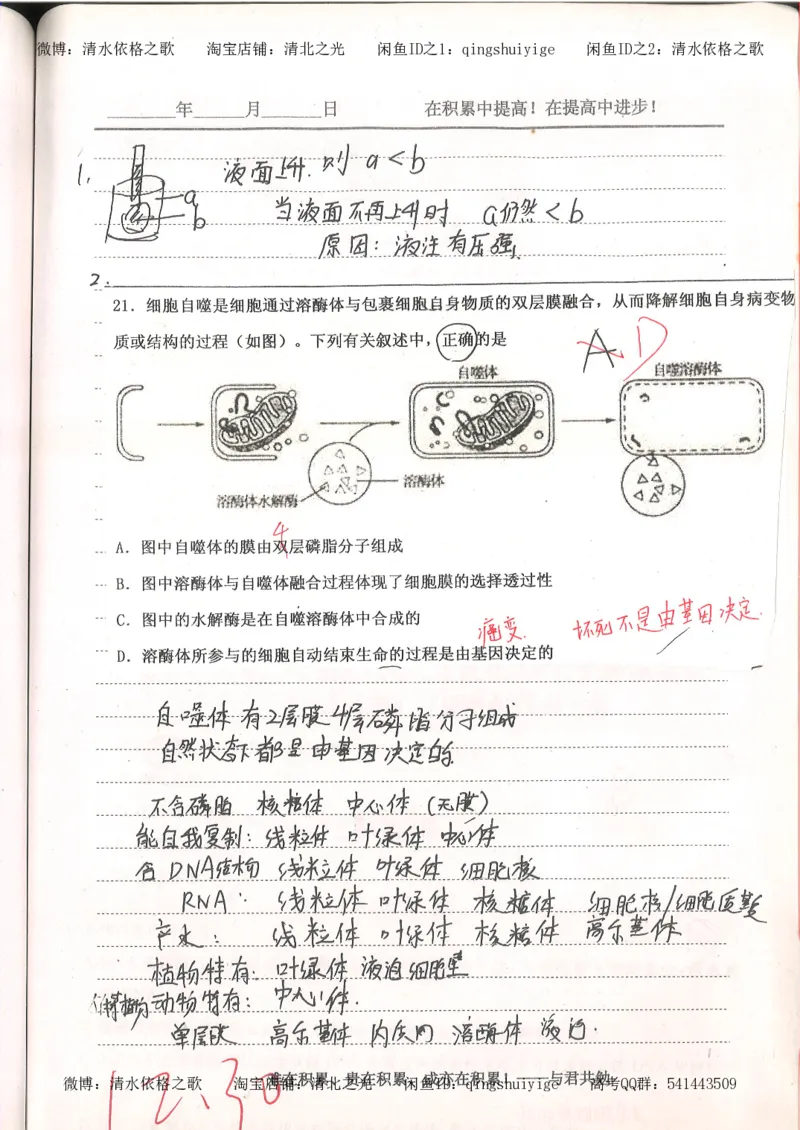 4.衡水中学高考积累与改错_高二生物（第2本）_78页_高中衡水学霸笔记_高中全部赠品_错题集高中九科_生物积累与改错