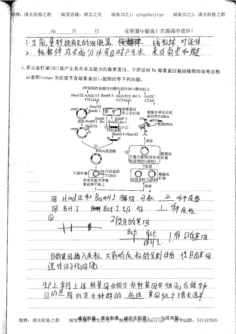 4.衡水中学高考积累与改错_高二生物（第2本）_78页_高中衡水学霸笔记_高中全部赠品_错题集高中九科_生物积累与改错
