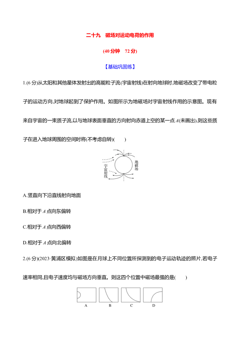 二十九：磁场对运动电荷的作用（含解析）_4.2025物理总复习_2025年新高考资料_专项复习_2025新高考物理核心素养测评（含解析）（完结）